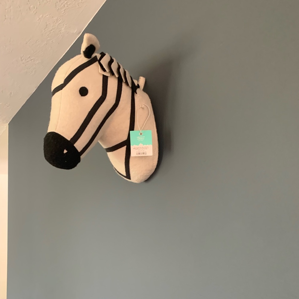 Set of Stuffed animal taxidermy